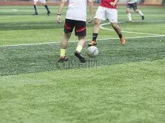 半决赛,辽粤生死对,决抢五生死,开云,KaiYun,开云官网,开云体育官网,开云体育下载,开云APP