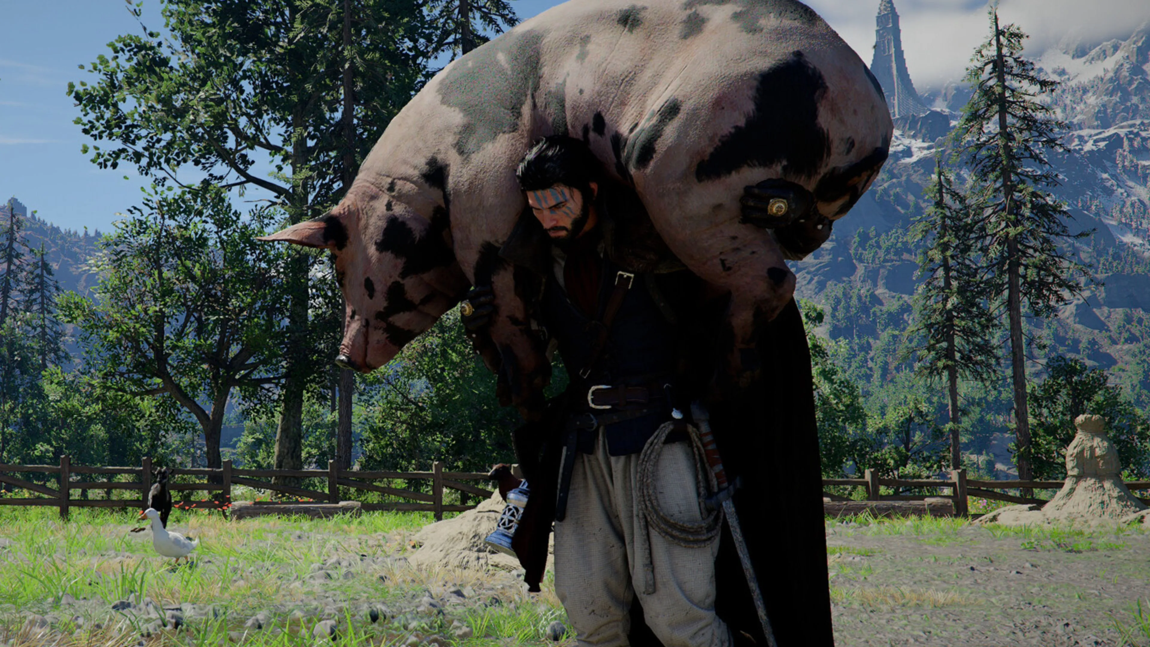 大乐透期号,专家质合分,费内巴切客,开云,KaiYun,开云官网,开云体育官网,开云体育下载,开云APP