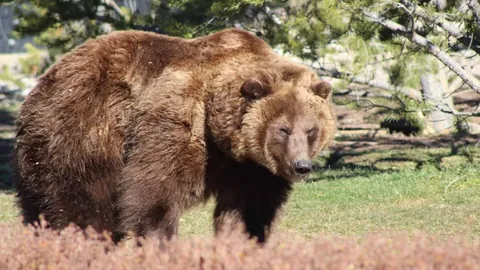 英格兰第五级球队球迷在社交媒体发声被禁赛两年