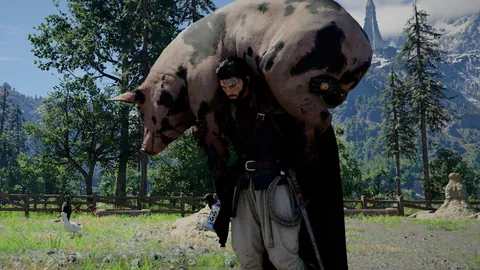 大乐透期号专家质合分析：费内巴切客场挑战预测