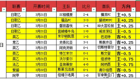 “大连英博队宣布马莱莱加盟，踏上新篇章”